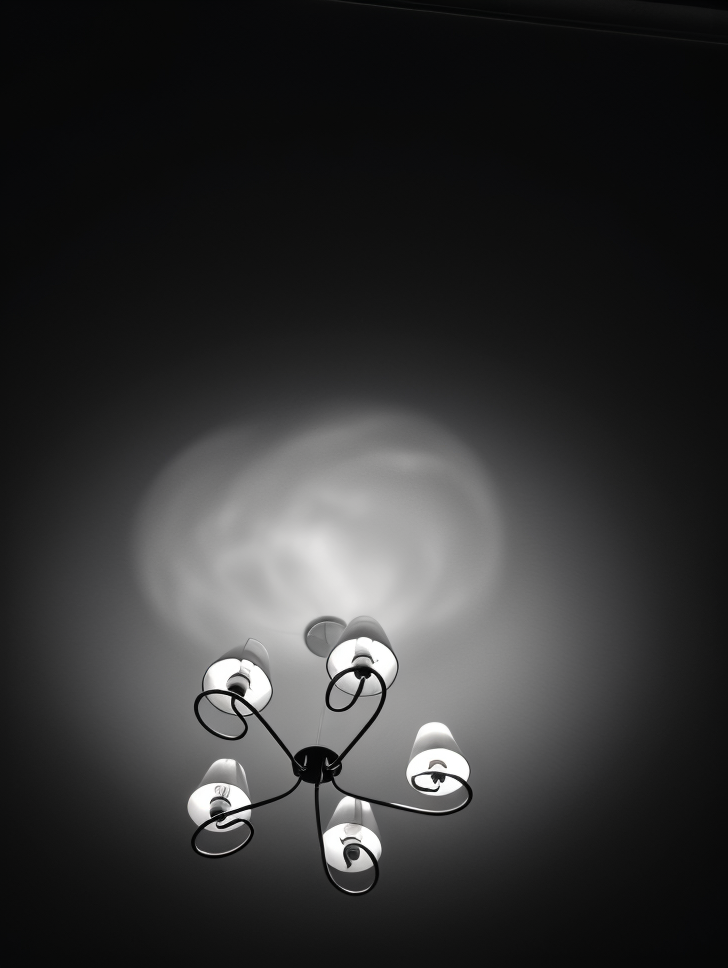 Light Is Our Life