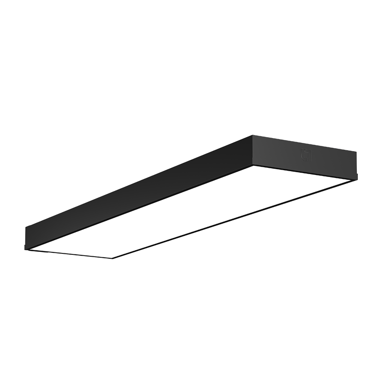 Application Image 3